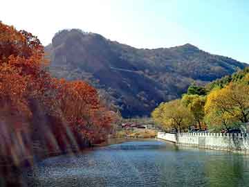 管家婆黑白马报图库，肥田粉